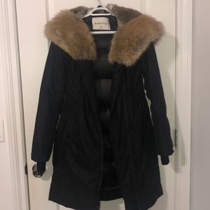 Aritzia Babaton Parka
